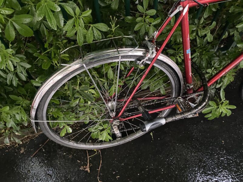 Vélo Motoconfort spécial sport